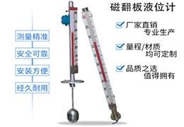 防腐翻柱液位计